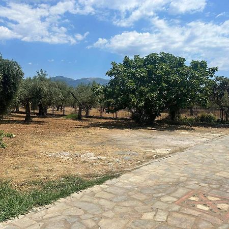 Το Πετρινο / The Petrino Apartments Stoúpa Exteriör bild